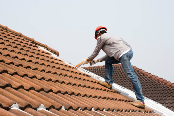 Best Roof Installation  in Olton, TX